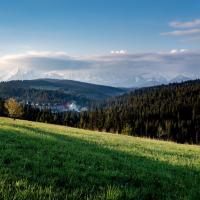 Hotel BUKOVINA，位于布科维纳-塔钱斯卡的酒店