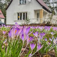 Ferienhaus am weißen Adler，位于德累斯顿维西尔·赫希的酒店