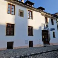 Pension U Martina，位于多玛泽里塞的酒店