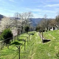 Vilijev Raj, a property with cottage in the countryside，位于Avče的酒店