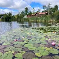 Geese Villa Log House，位于Harrington的酒店