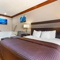 Best Western Fort Worth Inn & Suites，位于White Settlement的酒店