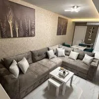 Apartman Little garden near Airport,位于Dobanovci的酒店