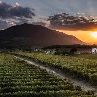 Giardino Delle Oche - Ocone Taburno Wine County,位于Ponte的酒店