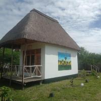 Real African Life safaris and Camps，位于LukunguKirawira B Aerodrome - GTZ附近的酒店