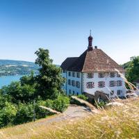 Schloss Freudenfels，位于埃申茨的酒店