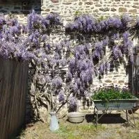Fermette dans les pays de la Loire,位于Izé的酒店