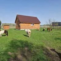 Eurostruś - zoo, domki，位于Borzychy的酒店