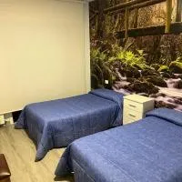 Hostal Carpinteiras，位于Rodeiro的酒店