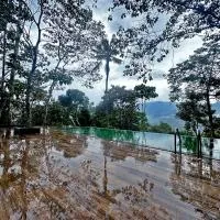 Viceroy Luxury Mountain Resort and Spa，位于蒙纳的酒店