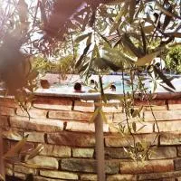 Villa La Pineta，位于温贝尔蒂德的酒店