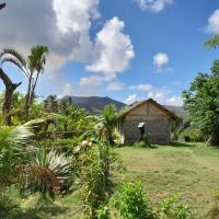 Yasur View Bungalow and Tree House，位于White Sands坦纳机场 - TAH附近的酒店