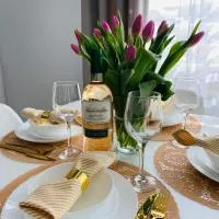 Apartamenty pod Wieżą 1，位于奥尔什蒂内克的酒店