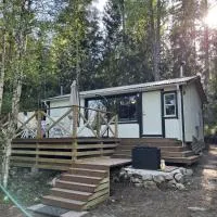 Modern Forest Retreat，位于厄勒布鲁的酒店