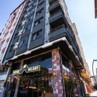 Hotel Milano，位于里泽的酒店