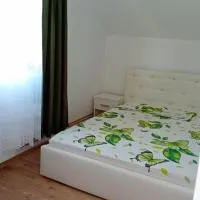 Camera Primăverii 1，位于Ruşor的酒店