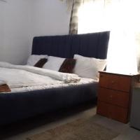 St Theresers apartment with swimming pool，位于拉各斯Lekki Phase 1的酒店