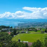 Lakeview Apartment-Lavaux，位于格兰瓦克斯Grandvaux的酒店