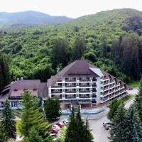 Hotel Bradul - Covasna，位于科瓦斯纳的酒店