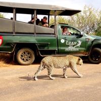 Foxy Crocodile Bush Retreat & Kruger Safari's，位于玛洛斯帕克的酒店