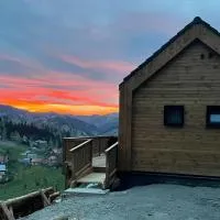 Kaliba Cabins，位于Valea Boroş的酒店