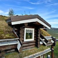 Unique Arctic Timber Cabin，位于Skaidi哈墨弗斯特机场 - HFT附近的酒店