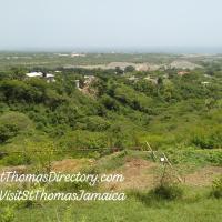 East Coast of Jamaica-Hiking and Camping，位于Albion的酒店