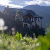 Alpin Zeneli Chalet，位于Çerem的酒店
