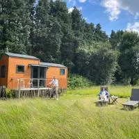 Joly Tiny House，位于奥纲赖泽的酒店