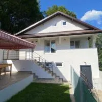 Casa NICORAD Apartamente，位于Pucioasa的酒店