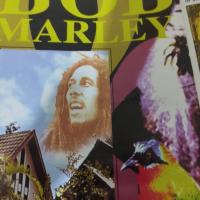 Bob Marley Peace hotel luxor，位于卢克索卢克索国际机场 - LXR附近的酒店