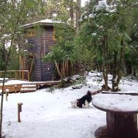 Cabañita del Árbol Cóndor，位于拉斯特朗卡斯的酒店