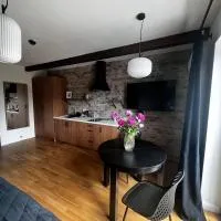 Apartamenty Św Stanisława，位于斯凯尔涅维采的酒店