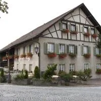 金鹿旅馆酒店，位于巴登的酒店