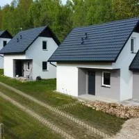 Domki pod Dębiną，位于Lechów的酒店