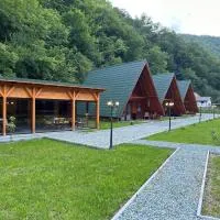 Satul de Vacanța Carla，位于Stremţ的酒店