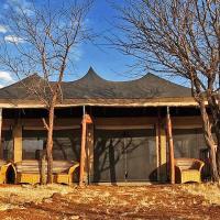 Robin Safari Camp Serengeti，位于塞伦盖蒂国家公园的酒店