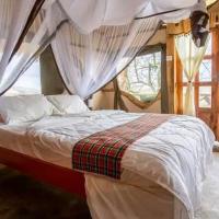 Lion's Cave Camp, SAMBURU，位于Archers Post的酒店