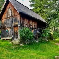 Schell-Hütte，位于Preitenegg的酒店
