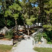 Camp 'Dvor' bell tent accommodation，位于Manjadvorci的酒店