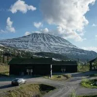 Lägenhet med utsikt mot Gaustatoppen, ski in ski out，位于Gaustablikk的酒店