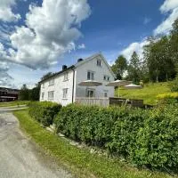 Leilighet midt i Høylandet sentrum，位于Hoylandet的酒店