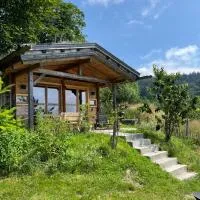 Berghütte am Grandsberg,位于施瓦尔察赫的酒店
