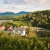 Steigenberger Hotel & Spa Krems，位于多瑙河畔克雷姆斯的酒店