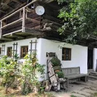 Troidkasten am Grandsberg,位于施瓦尔察赫的酒店
