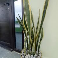 Suite Amaris LC，位于拉塞瓦拉塞瓦国际机场 - LCE附近的酒店