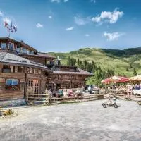 Gehwolfalm Berghotel，位于格罗萨尔的酒店