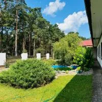 Pensjonat Eden Apartament 8,位于博尔内苏利诺沃的酒店