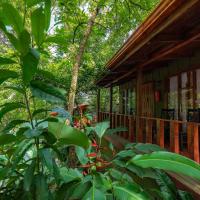 Jaguarundi Jungle Lodge - Monteverde，位于蒙泰韦尔德哥斯达黎加Santa Elena的酒店