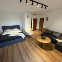Apartment Ewy，位于伊诺弗罗茨瓦夫的酒店